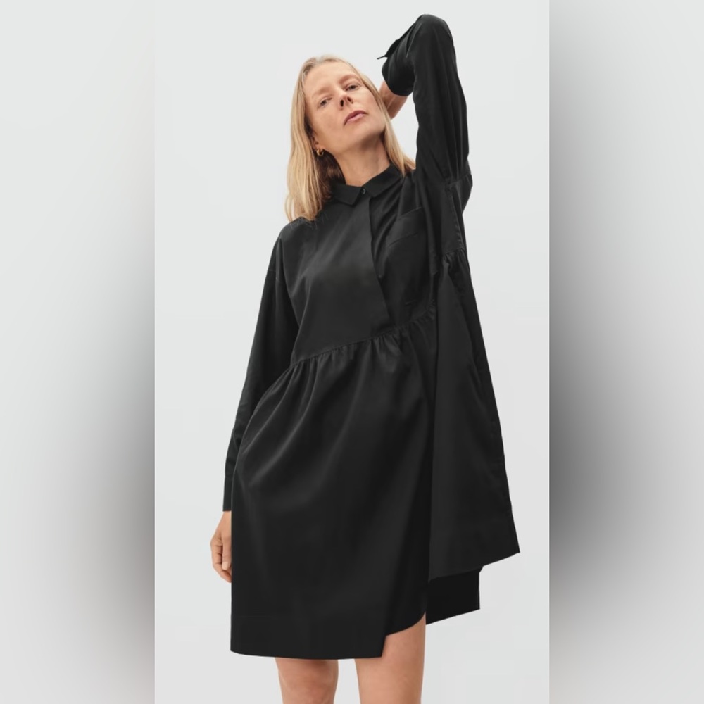 NWT & Sold Out! Everlane The Field Dress